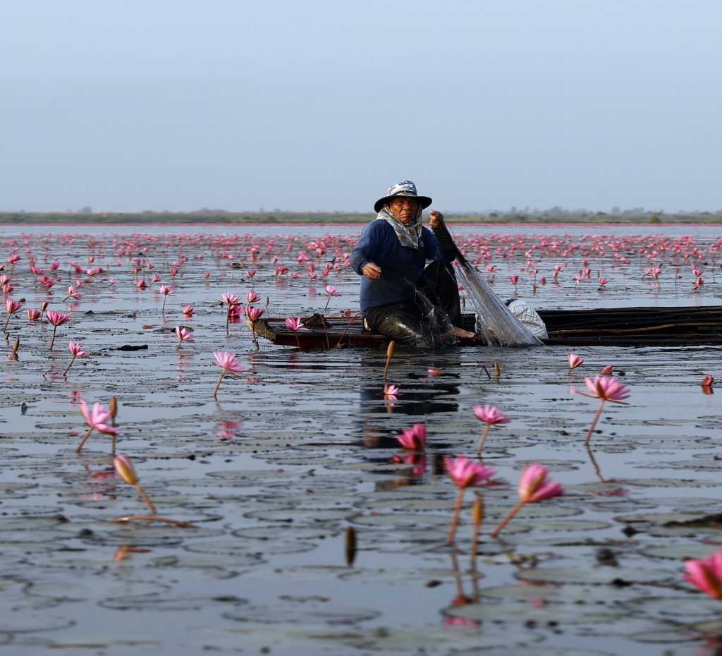 Fisherman on the Red Lotus Sea