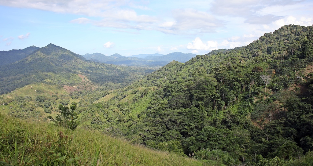 Bare patches of former coca fields, Cuidad Perdida Trek
