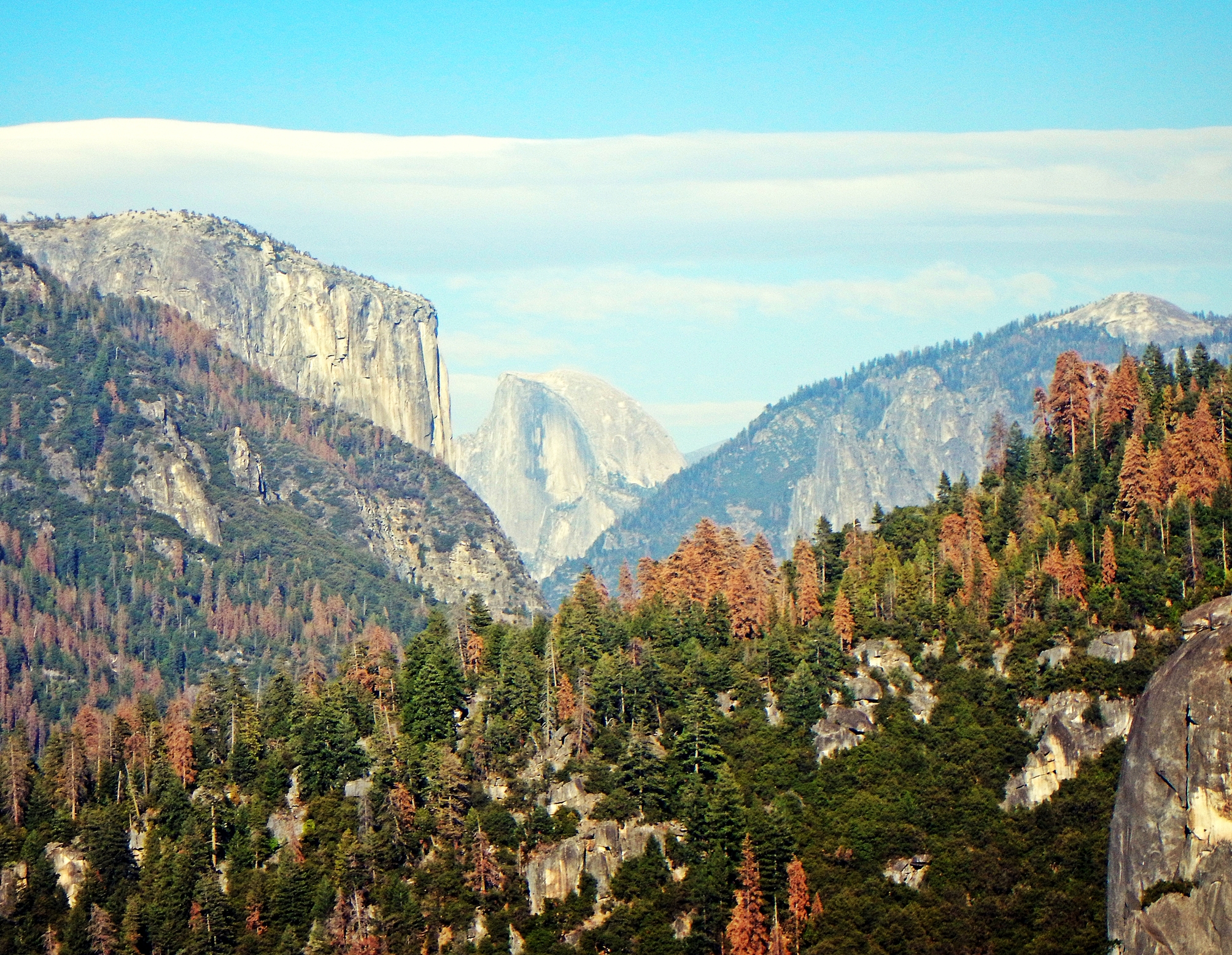 El Cap and Half Dome, Yosemite Valley