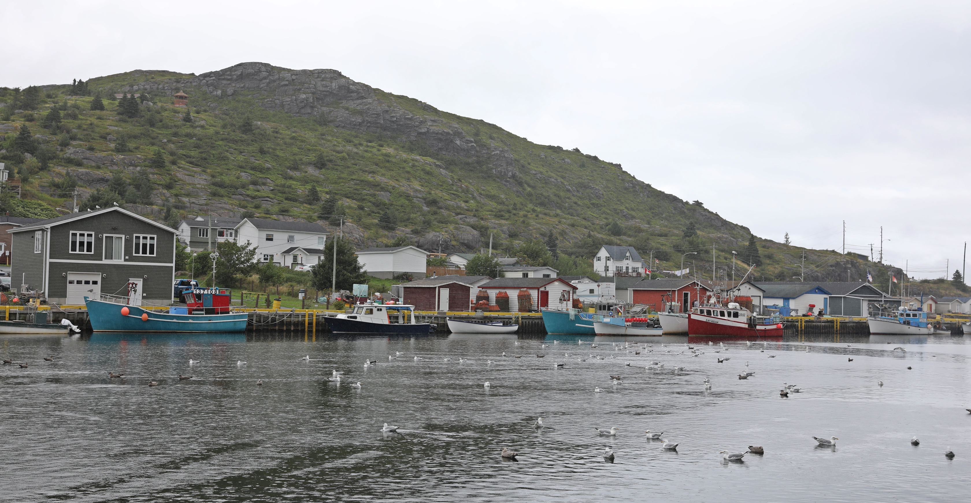 Petty Harbour, Newfoundland